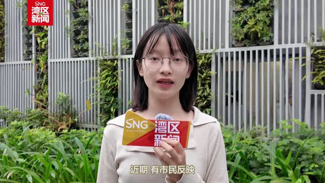 深圳路边糖胶树气味浓烈，“上头”但无毒