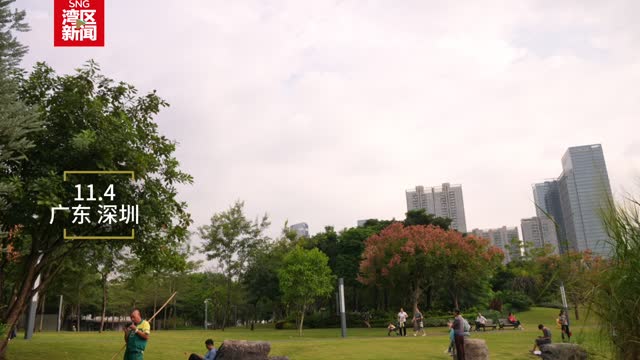 月季雏菊开满园