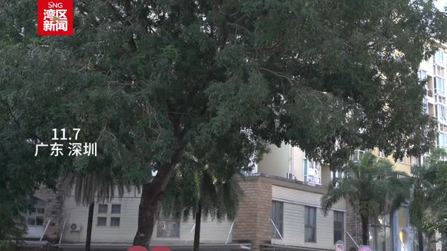 深圳社区采用定向广场舞音响解决噪音问题