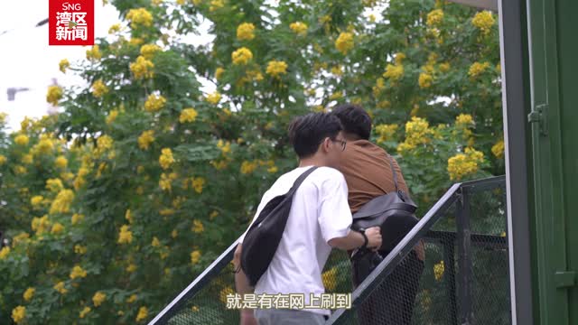 铁路公园“小黄花”引市民打卡拍照