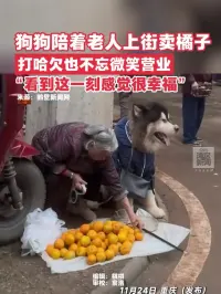 狗狗陪着老人上街卖橘子，打哈欠也不忘微笑营业，“看到这一刻感觉很幸福”