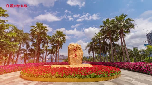 深圳，以奔跑之势，跨入2025