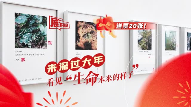 展开说说 | 来深过大年，看见“生命本来的样子”