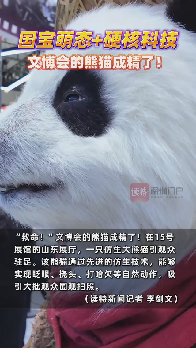 国宝萌态+硬核科技，文博会的熊猫成精了！