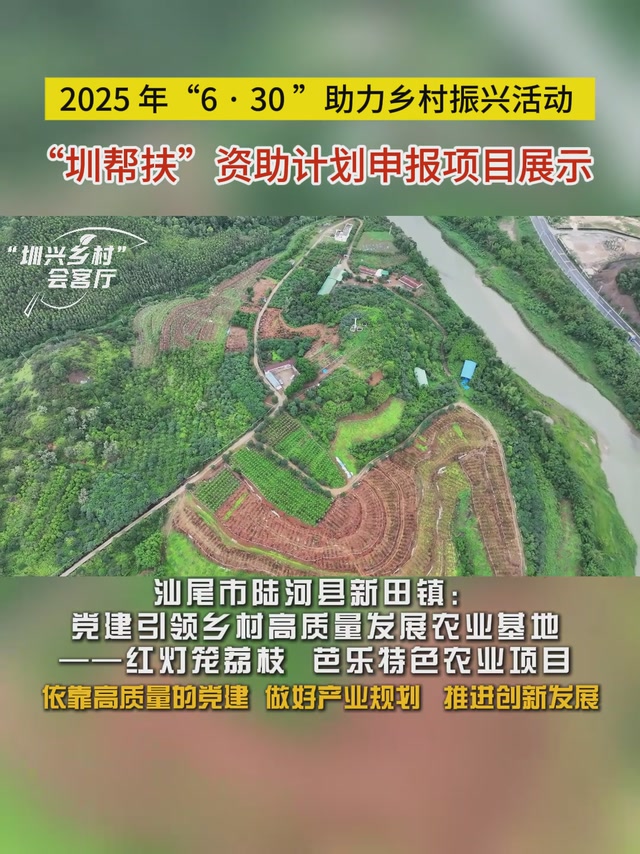 “圳帮扶”资助计划项目展示丨陆丰新田村：党建引领乡村农业高质量发展