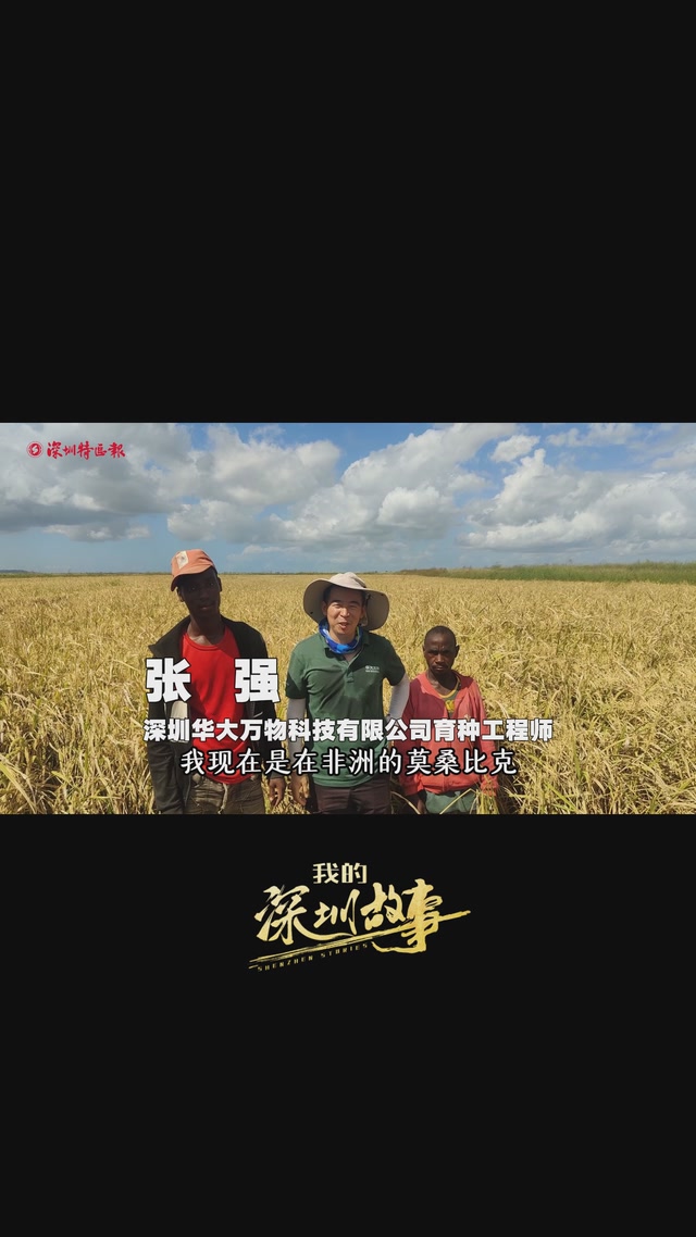 从深圳出发到非洲当“农民” | 我的深圳故事