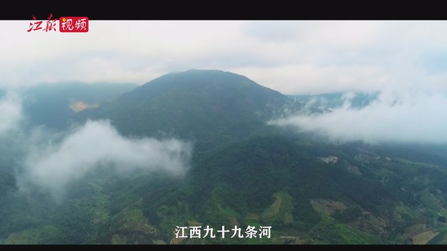 东江水情牵60年 | 跨越26年的东江之约！这份浪漫，看哭了……