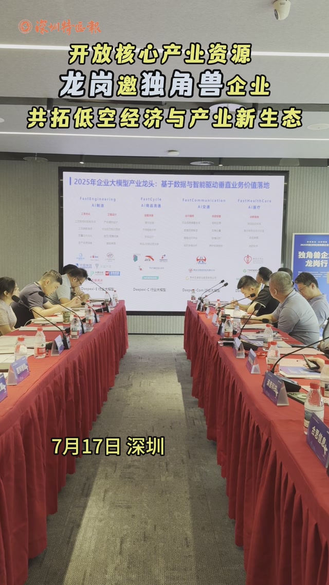 开放核心产业资源 龙岗邀独角兽企业共拓低空经济与产业新生态