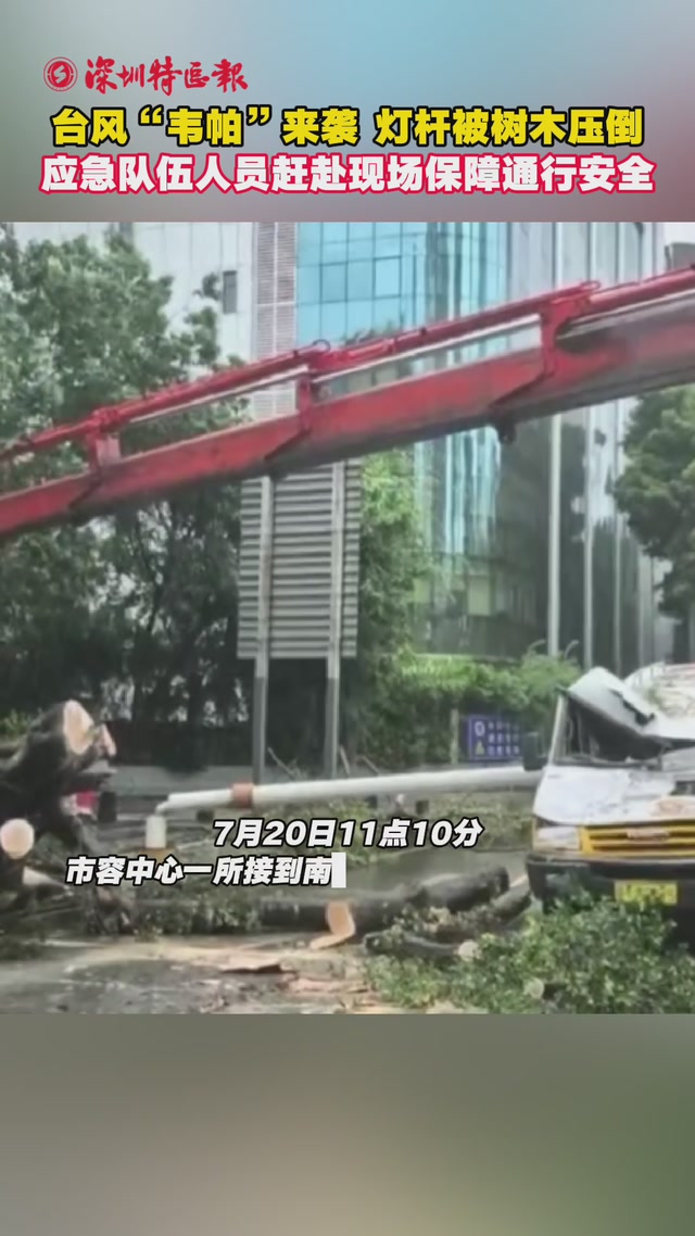 台风“韦帕”来袭！灯杆被树木压倒，应急队伍人员赶赴现场保障通行安全