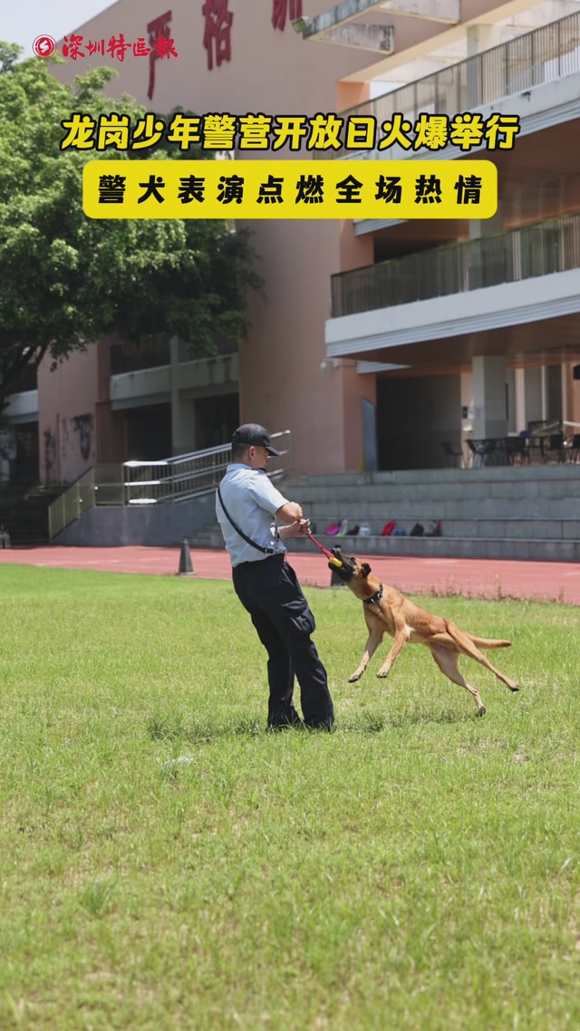 龙岗少年警营开放日火爆举行！警犬表演点燃全场热情