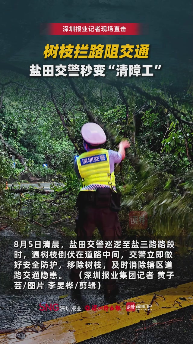 树枝拦路阻交通， 盐田交警秒变“清障工”