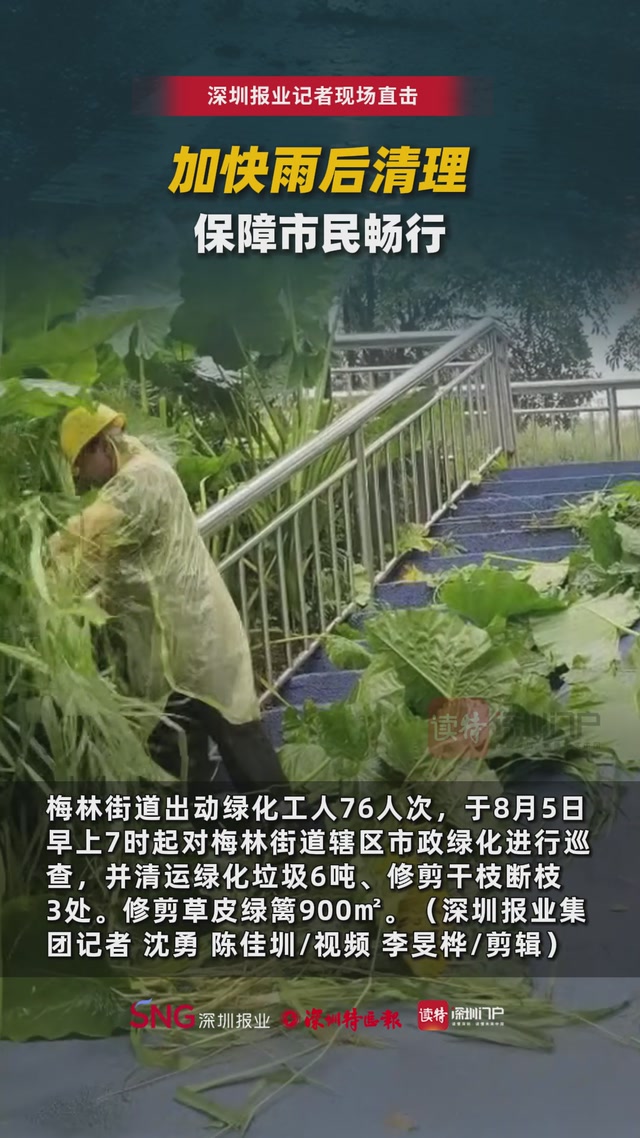 加快雨后清理，保障市民畅行