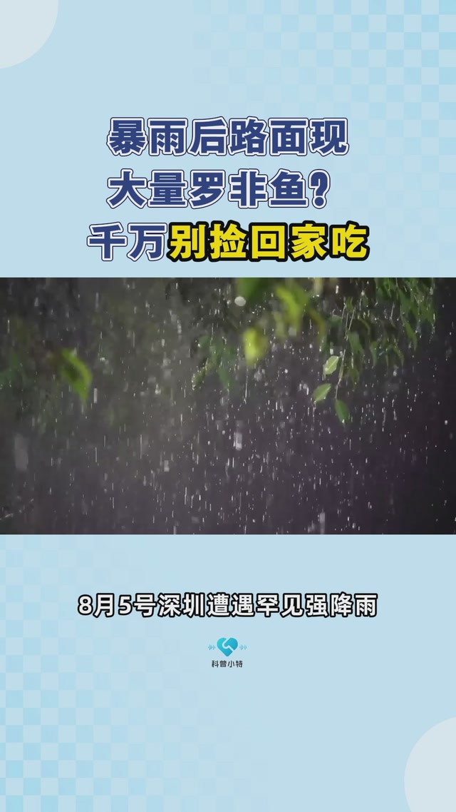 暴雨后路面现大量罗非鱼？千万别捡回家吃