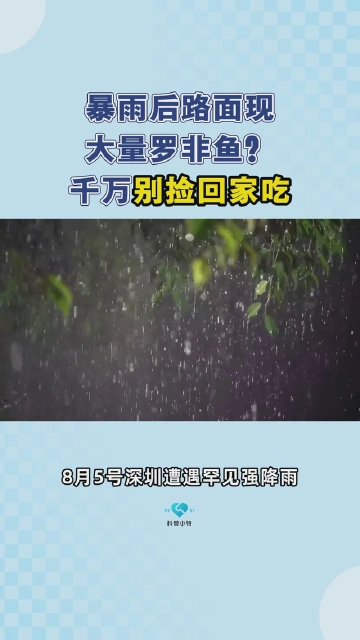 暴雨后路面现大量罗非鱼？千万别捡回家吃