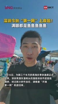 深圳今秋“第一网”上岸啦！满眼都是鱼鱼鱼鱼鱼