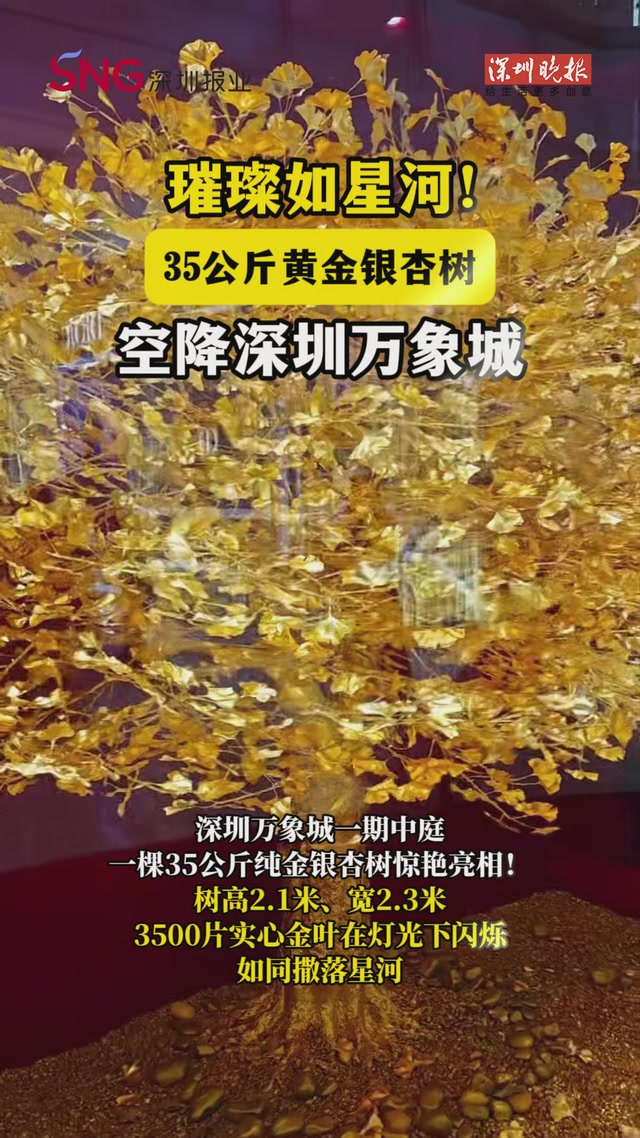 璀璨如星河! 35公斤黄金银杏树 空降深圳万象城
