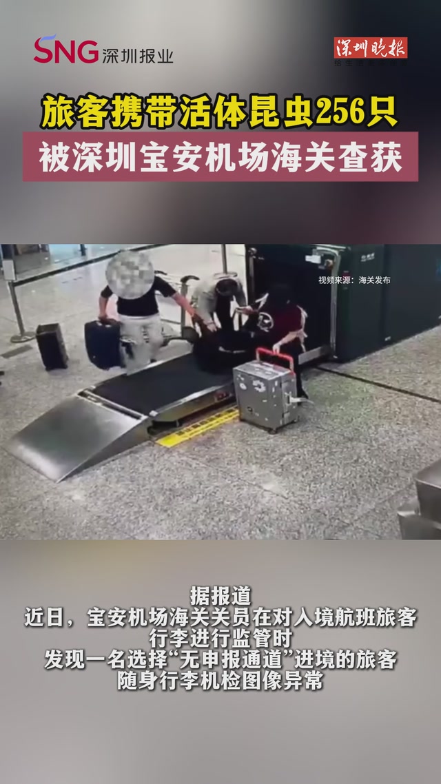 旅客携带活体昆虫256只 被深圳宝安机场海关查获