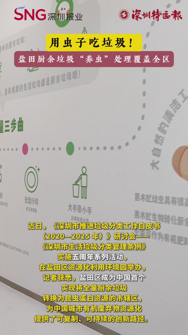 用虫子吃垃圾！盐田厨余垃圾“养虫”处理覆盖全区