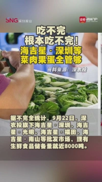 吃不完，根本吃不完！海吉星·深圳等
菜肉果蛋全管够