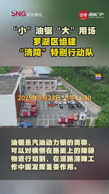“小”油锯“大”用场 罗湖区组建“清障”特别行动队