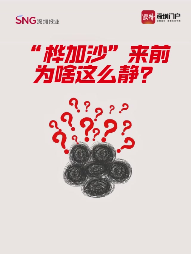 “桦加沙”来前为啥这么静？