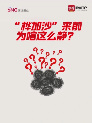 “桦加沙”来前为啥这么静？