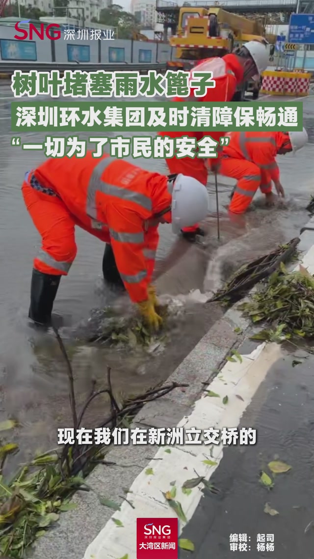 深圳台风夜后树叶堵塞雨水篦子 环境水务及时清障