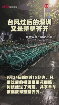台风过后的深圳，又是整整齐齐