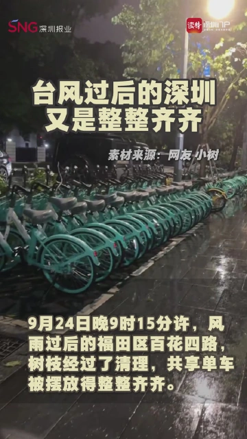 台风过后的深圳，又是整整齐齐