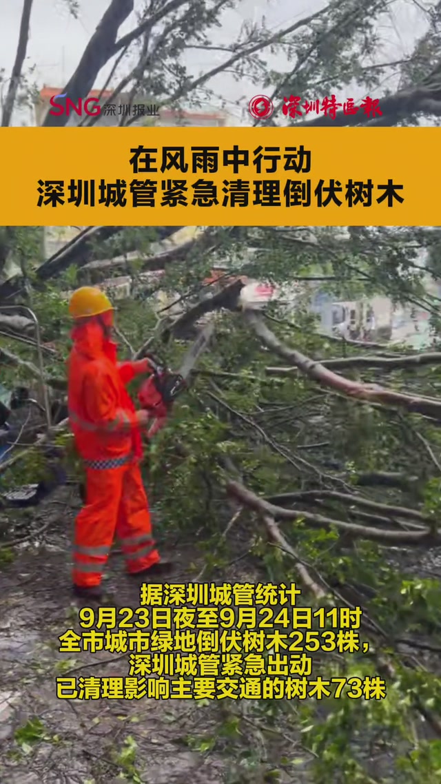 在风雨中行动，深圳城管紧急清理倒伏树木