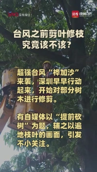 台风之前剪叶修枝，究竟该不该？