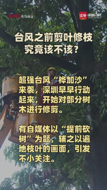 台风之前剪叶修枝，究竟该不该？