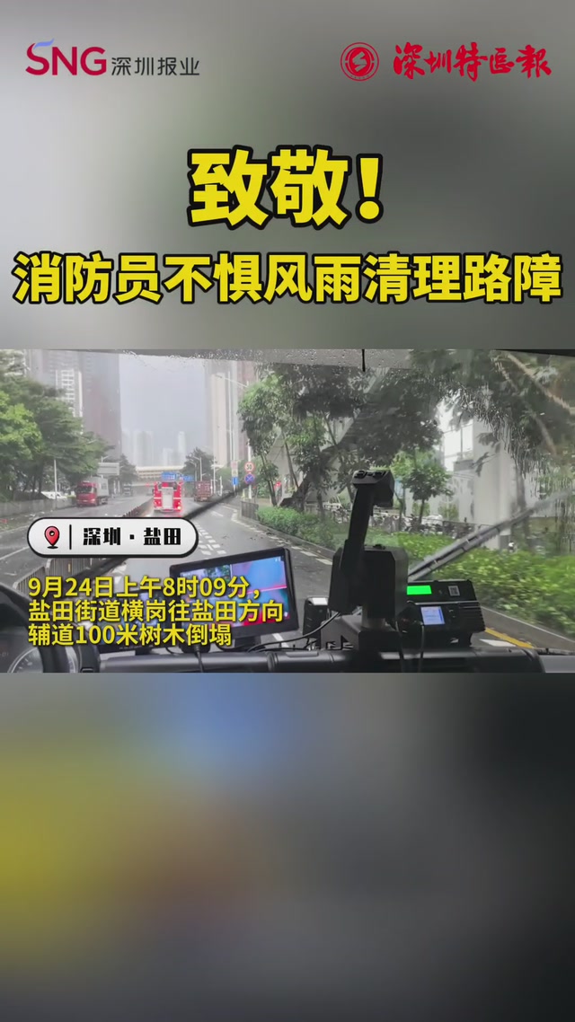 深圳部分路段出现树木倒伏险情，消防部门迅速响应