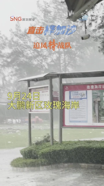 大鹏新区玫瑰海岸风雨再次加强