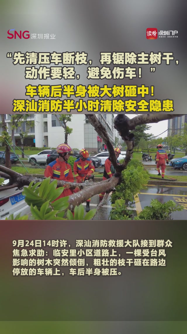 险！大树压车！深汕消防“轻手轻脚”巧救援