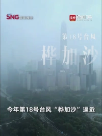 鹏城安好，感谢有你！