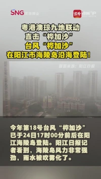 粤港澳琼九地联动直击“桦加沙”
台风“桦加沙”在阳江市海陵岛沿海登陆！