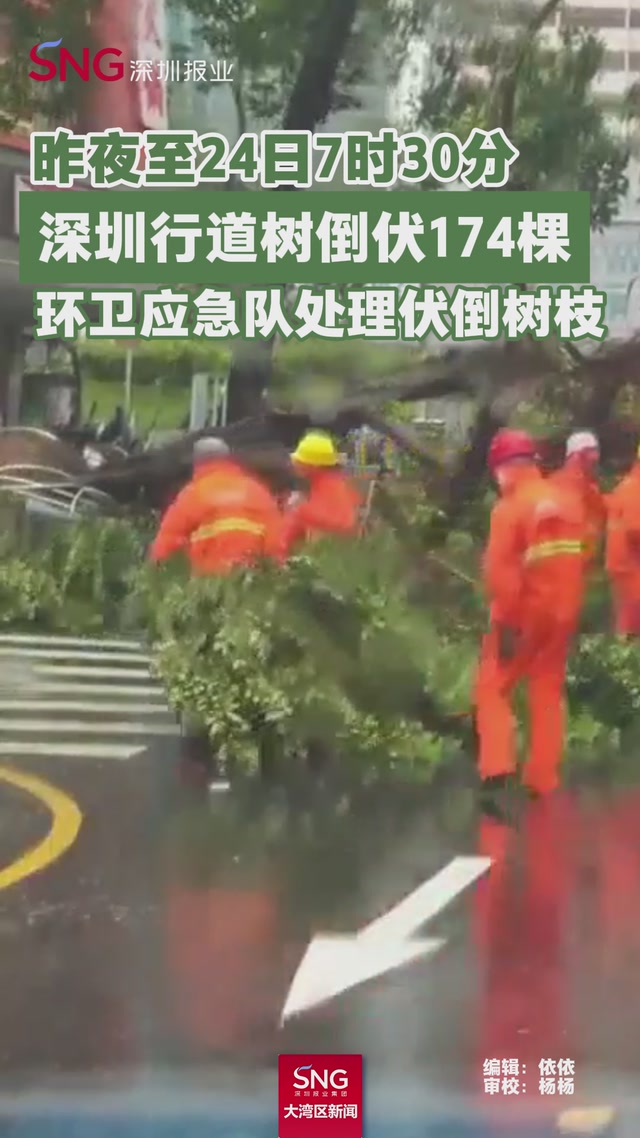 环卫应急队处理倒伏树枝