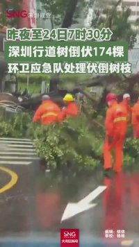 环卫应急队处理倒伏树枝