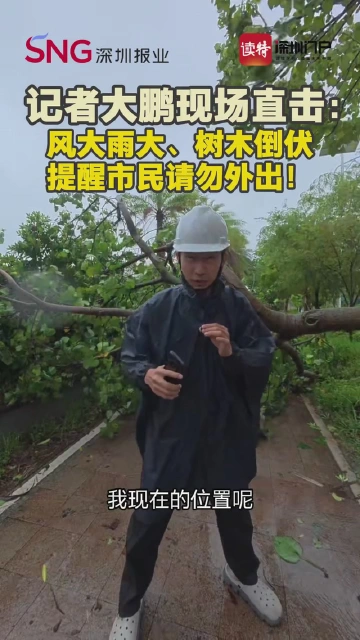记者大鹏现场直击：风大雨大、树木倒伏
提醒市民请勿外出！