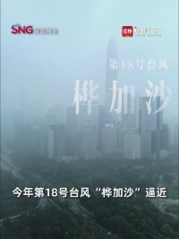 鹏城安好，感谢有你！