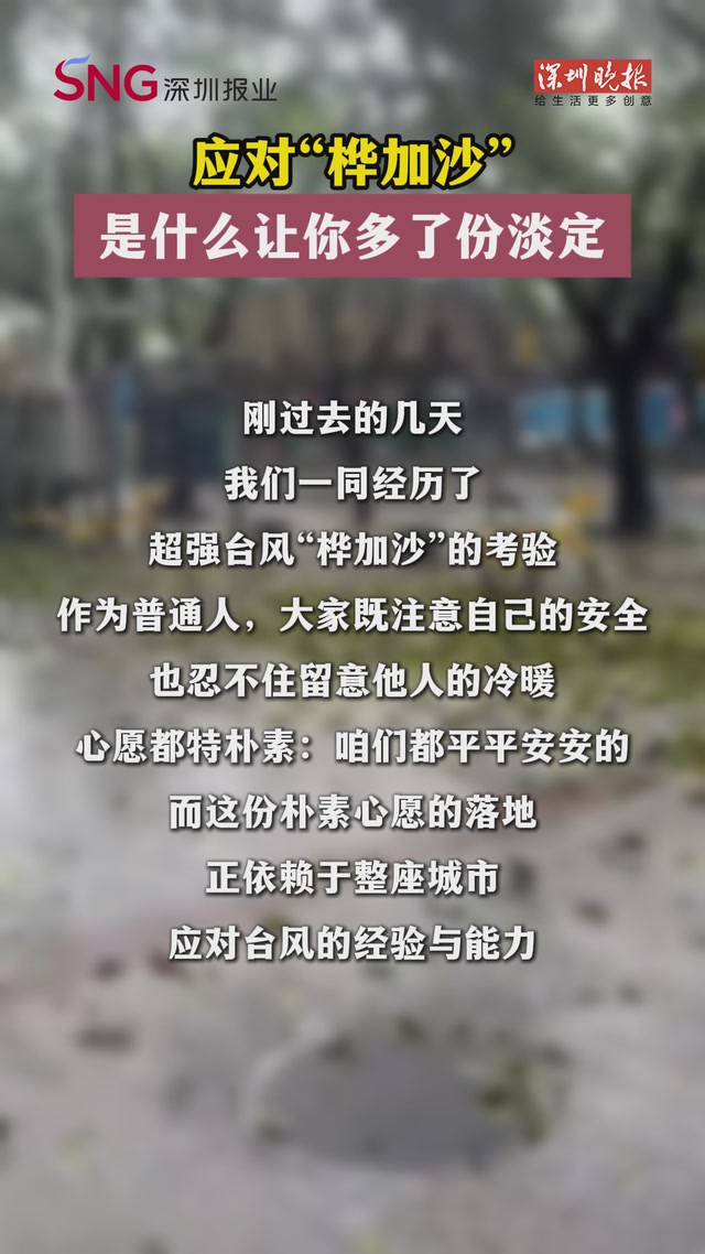 深晚视评丨应对“桦加沙” 是什么让你多了份淡定