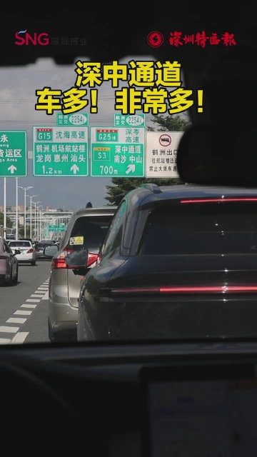 长假期间，深中通道车多！非常多！