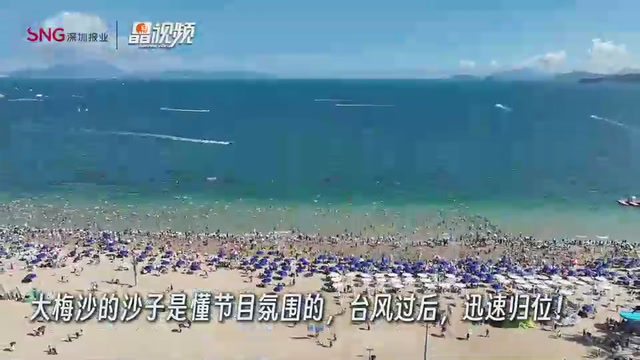 晶视频 | 大梅沙，有沙！市民游客也不少！