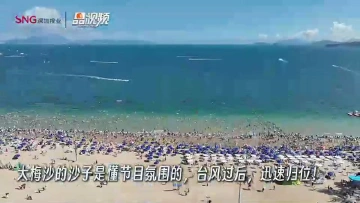 晶视频 | 大梅沙，有沙！市民游客也不少！