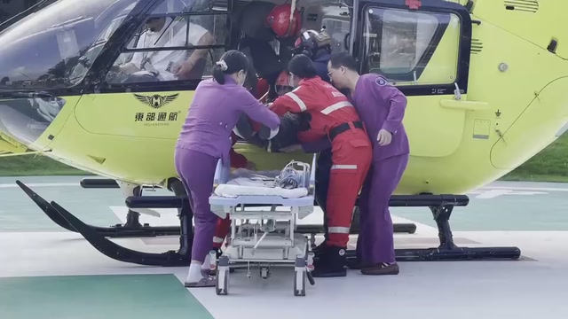 突遭山蜂蜇伤，深圳市民打“飞的”到中山七院获救