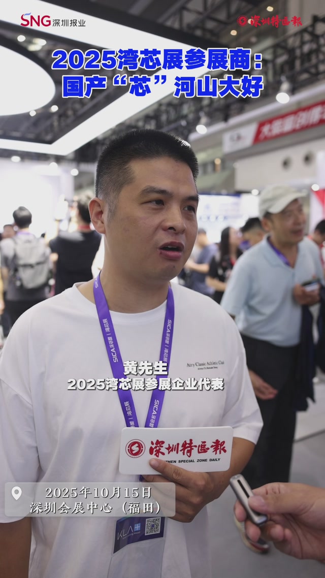 2025湾芯展参展商：国产“芯”河山大好