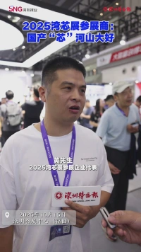 2025湾芯展参展商：国产“芯”河山大好