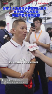 全球人工智能电子联盟执行主席：支持国产芯片发展，将国产芯片推向全球