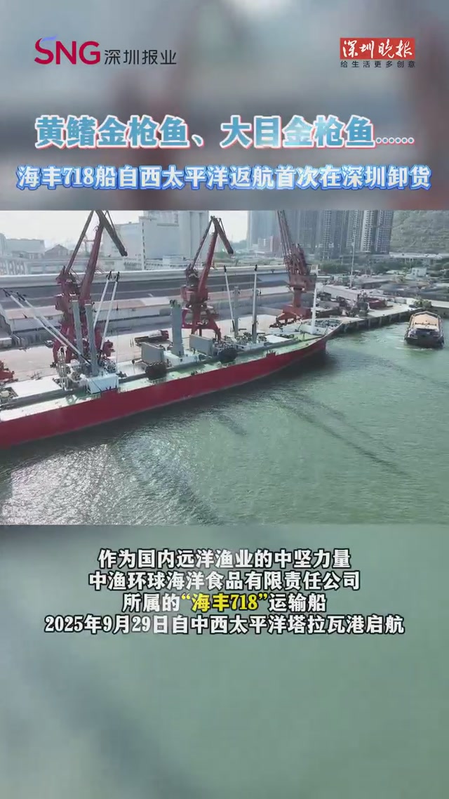 黄鳍金枪鱼、大目金枪鱼…海丰718船自西太平洋返航首次在深圳卸货